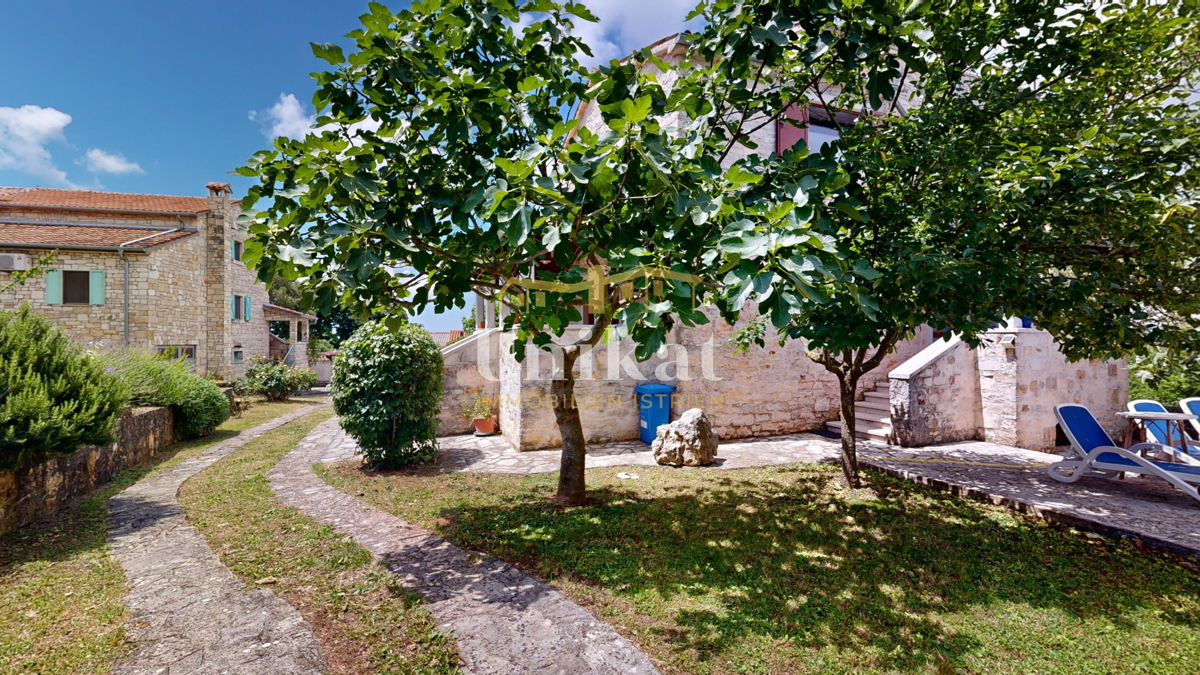 image 50
